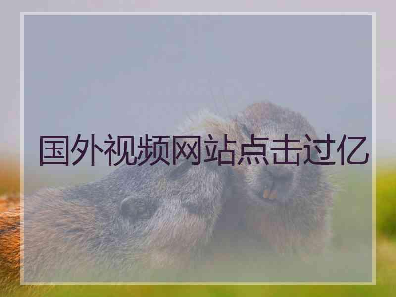 国外视频网站点击过亿