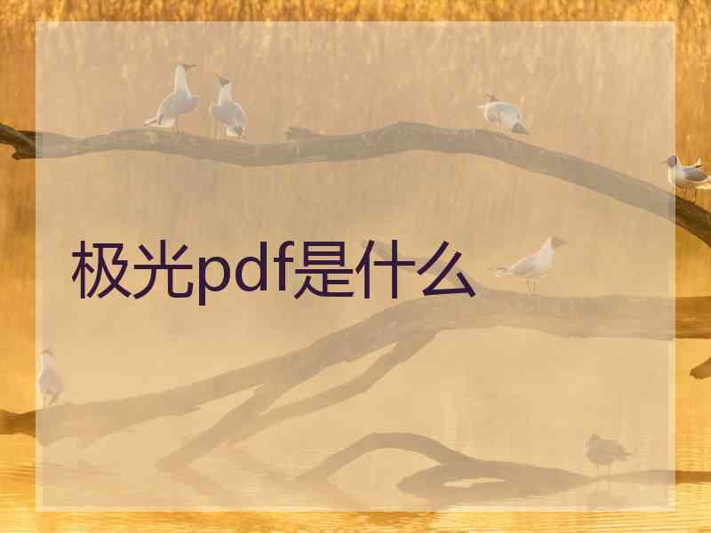 极光pdf是什么