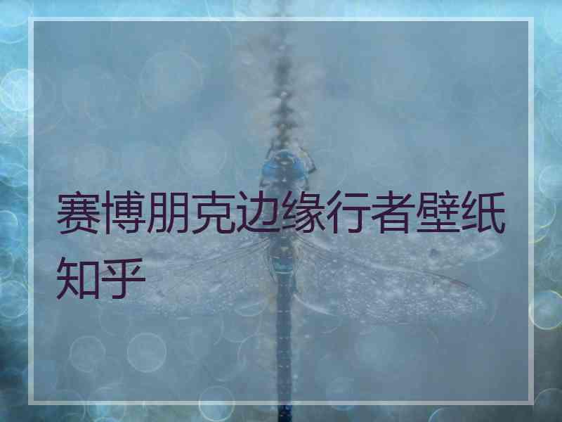 赛博朋克边缘行者壁纸知乎