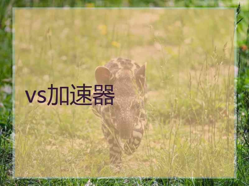 vs加速器