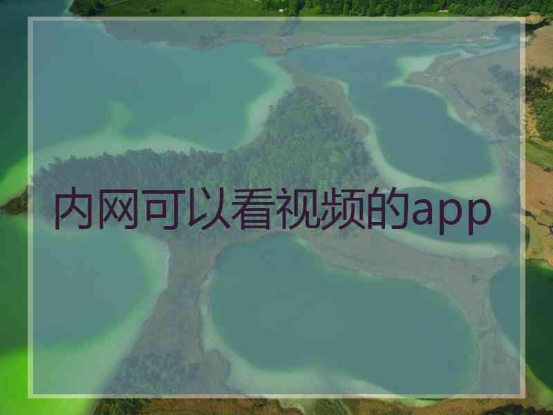 内网可以看视频的app