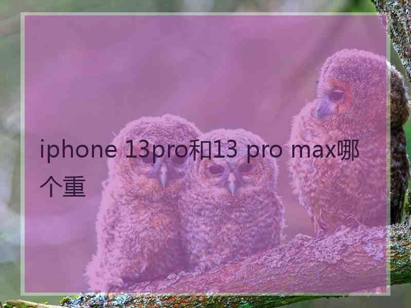 iphone 13pro和13 pro max哪个重