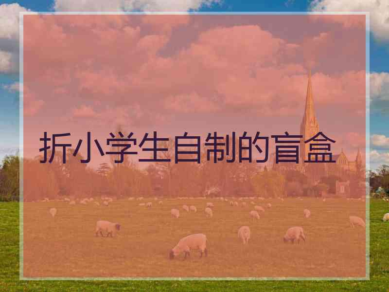 折小学生自制的盲盒
