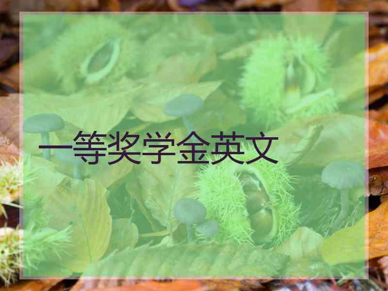一等奖学金英文