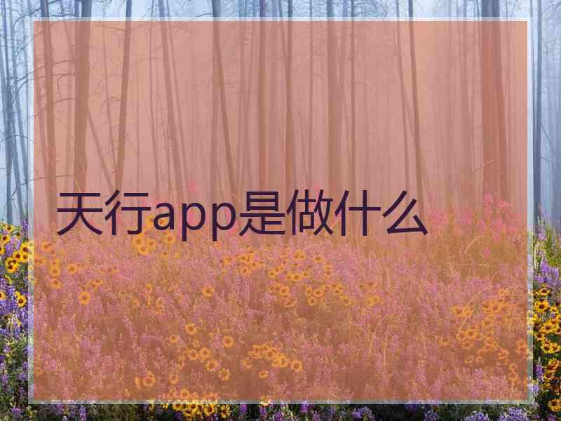 天行app是做什么