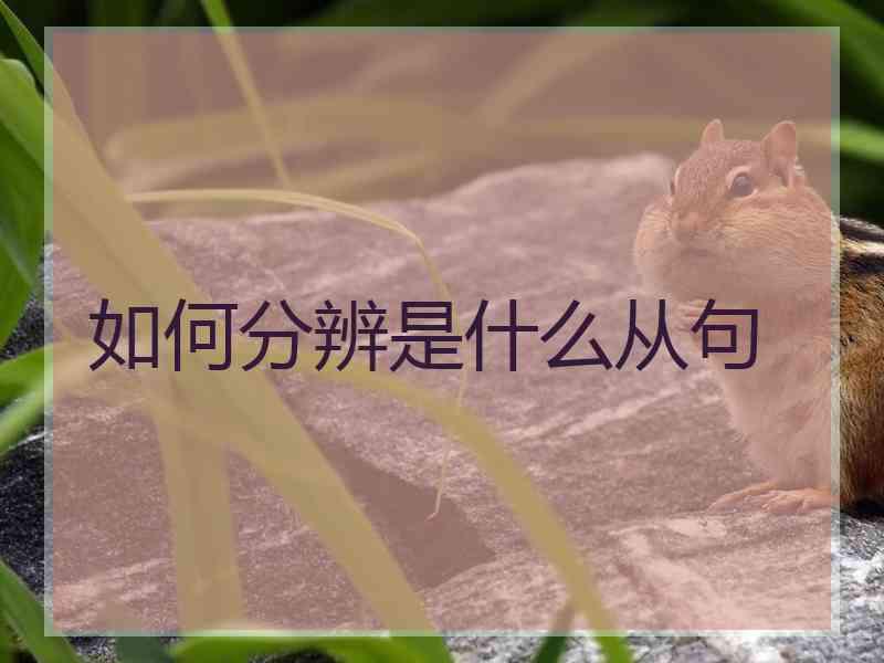 如何分辨是什么从句