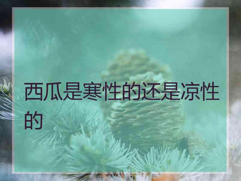 西瓜是寒性的还是凉性的