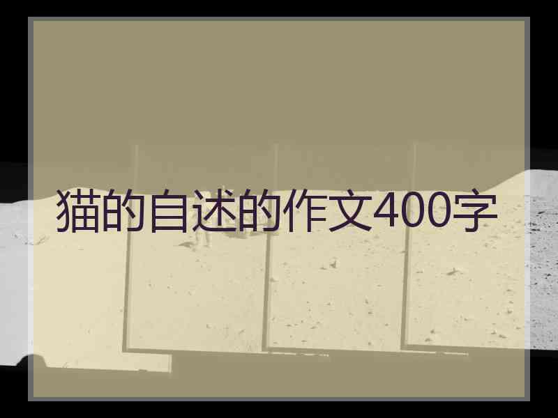 猫的自述的作文400字