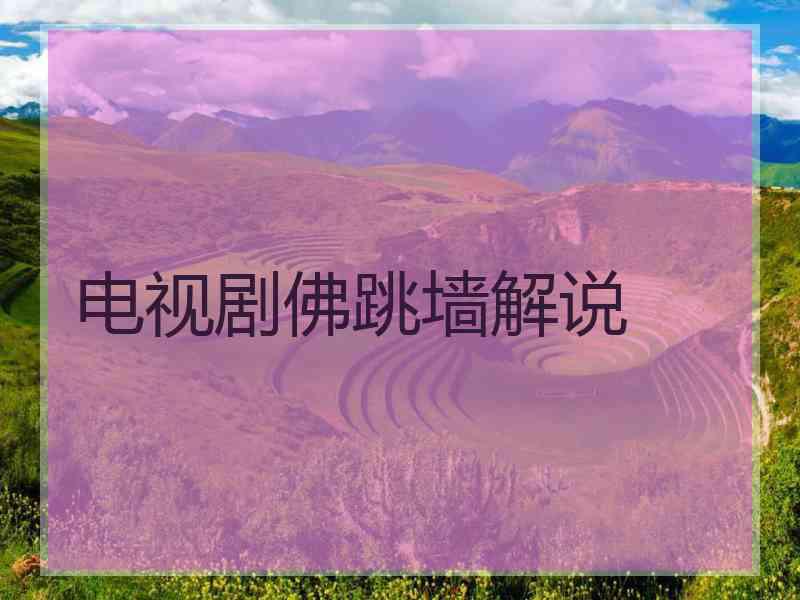电视剧佛跳墙解说
