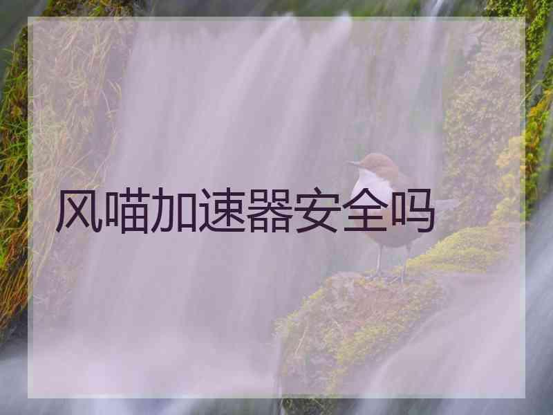 风喵加速器安全吗