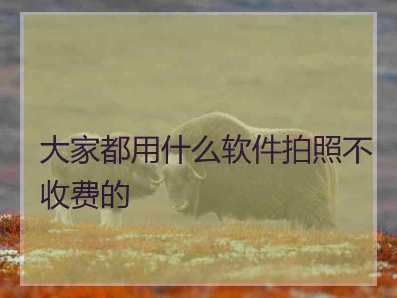 大家都用什么软件拍照不收费的