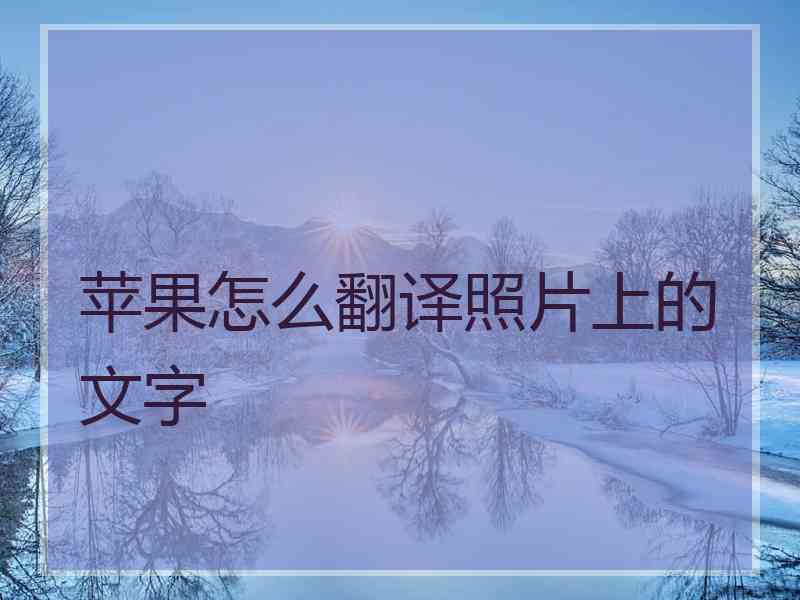 苹果怎么翻译照片上的文字