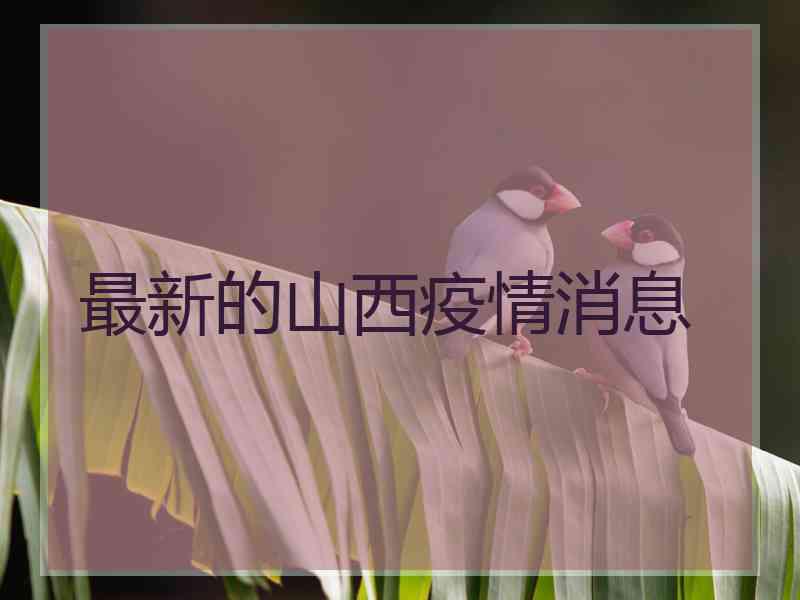 最新的山西疫情消息