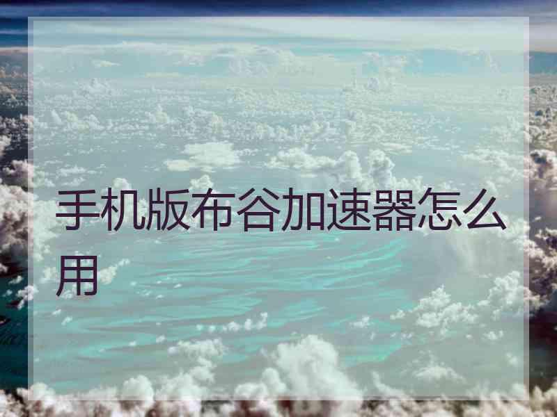 手机版布谷加速器怎么用