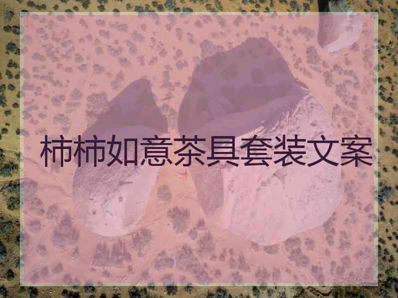 柿柿如意茶具套装文案