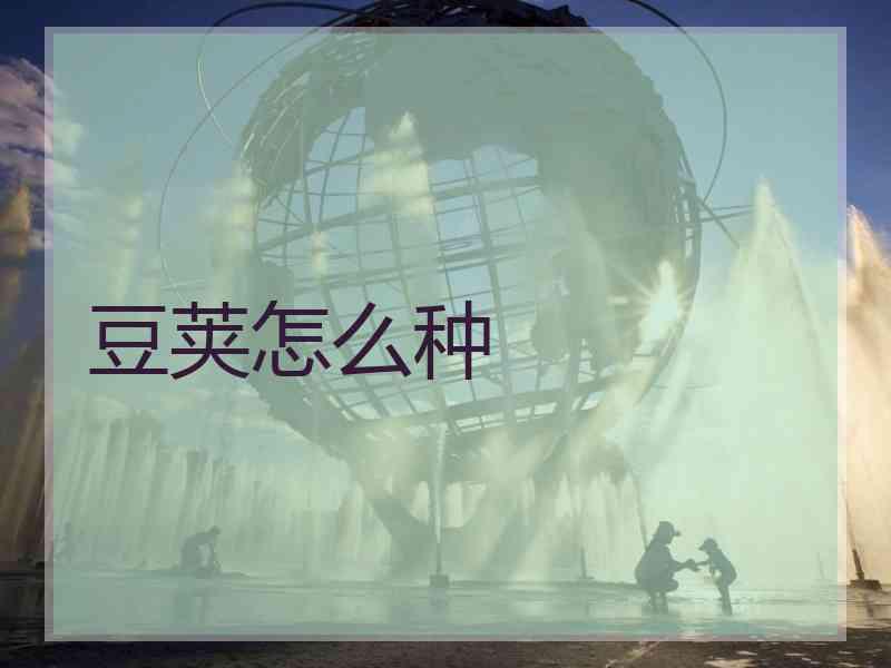 豆荚怎么种