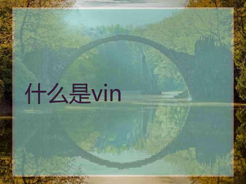 什么是vin