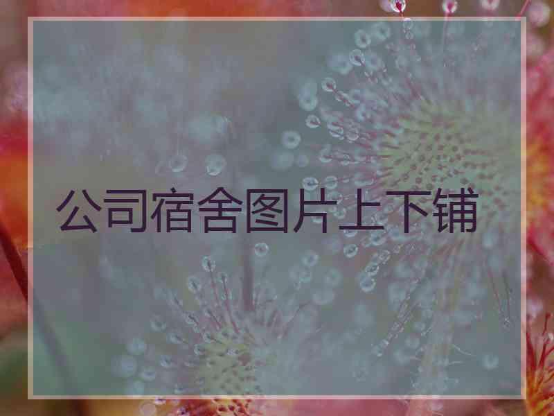 公司宿舍图片上下铺