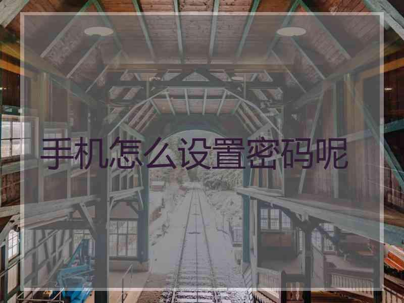 手机怎么设置密码呢