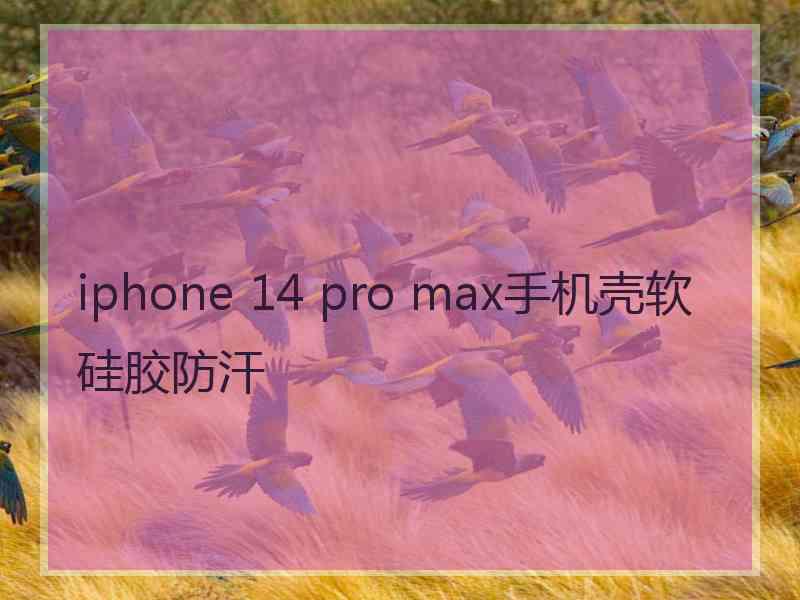 iphone 14 pro max手机壳软硅胶防汗