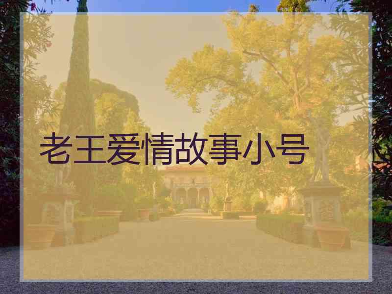 老王爱情故事小号