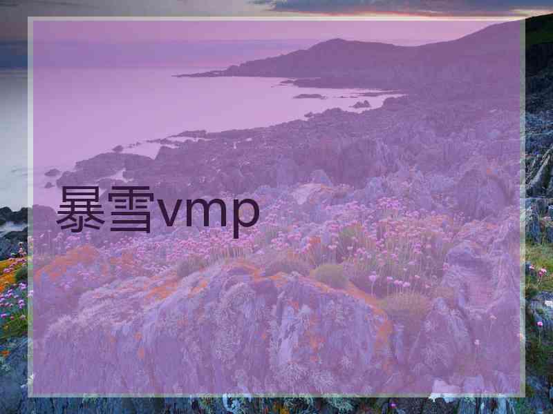 暴雪vmp