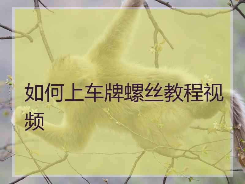 如何上车牌螺丝教程视频