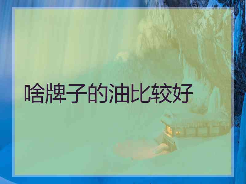 啥牌子的油比较好