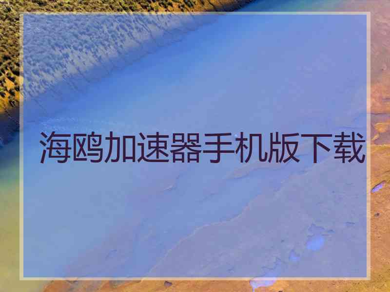 海鸥加速器手机版下载
