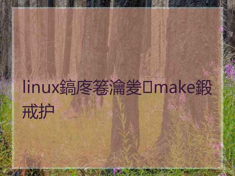 linux鎬庝箞瀹夎make鍛戒护