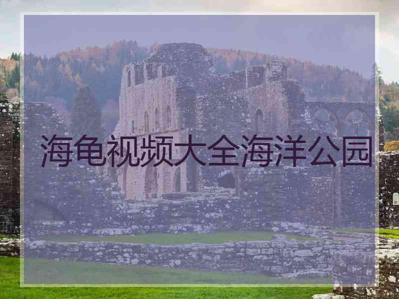 海龟视频大全海洋公园