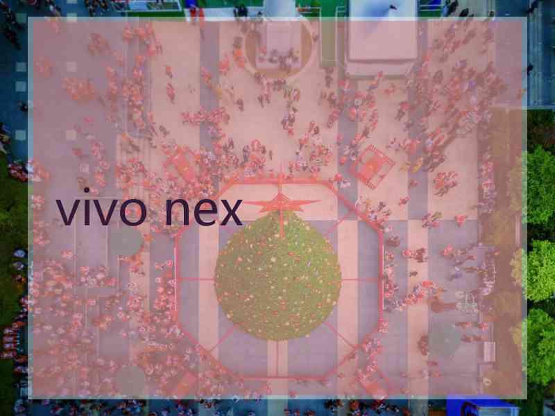 vivo nex