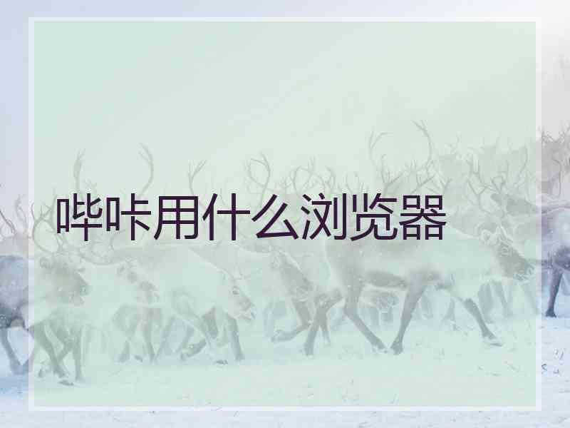 哔咔用什么浏览器