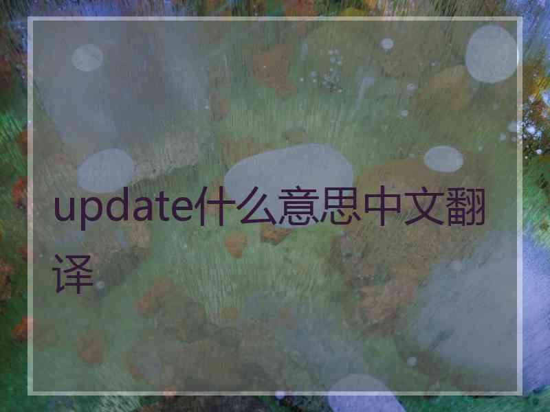 update什么意思中文翻译
