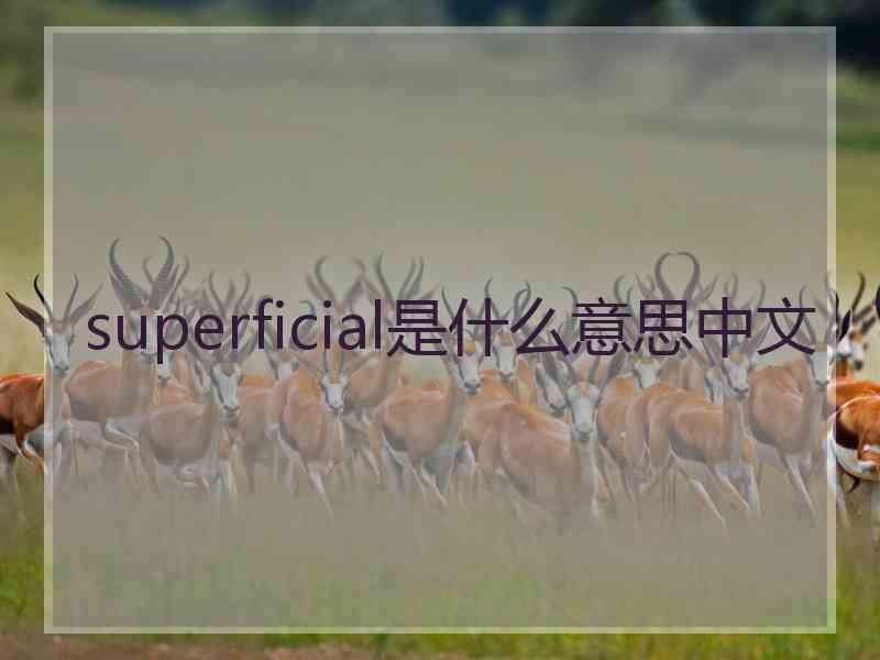 superficial是什么意思中文