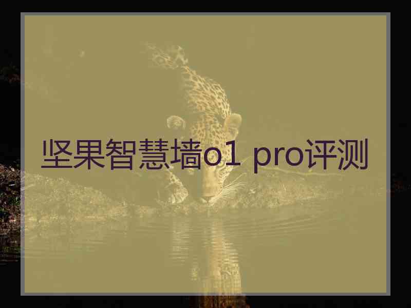 坚果智慧墙o1 pro评测