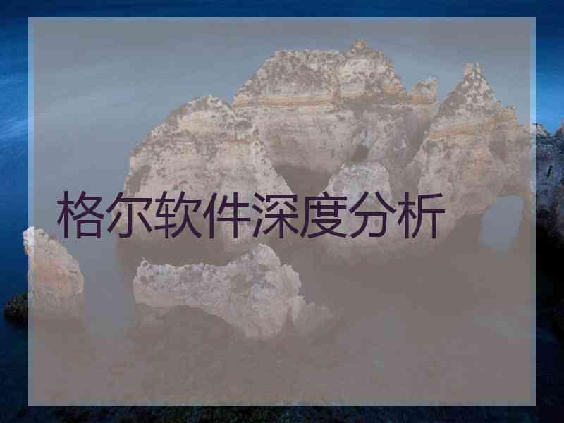 格尔软件深度分析