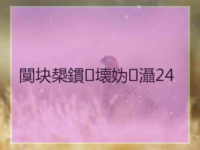闃块槼鏆壊妫灄24