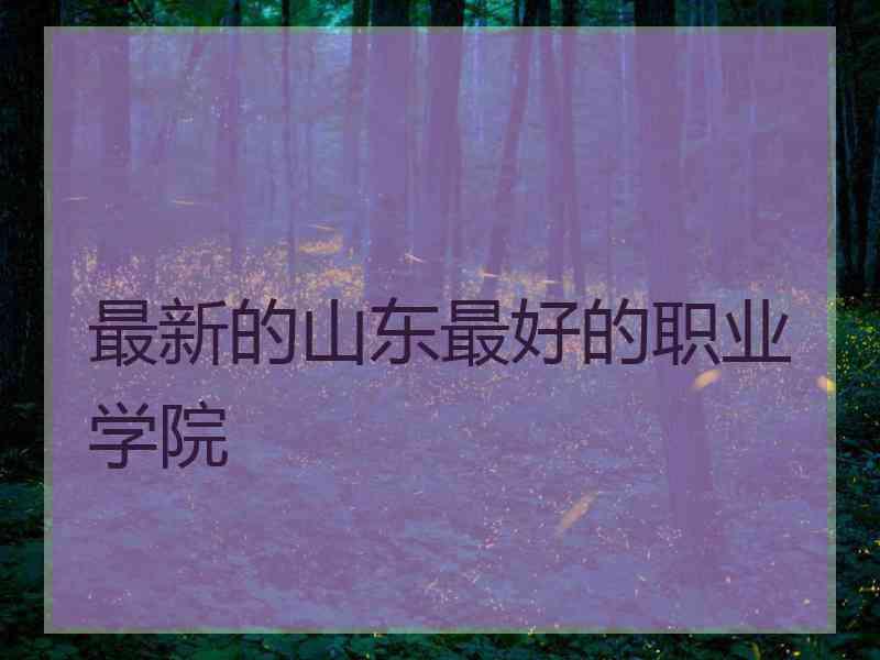 最新的山东最好的职业学院