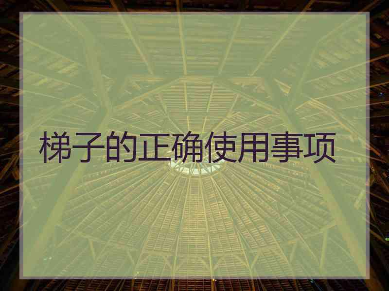 梯子的正确使用事项