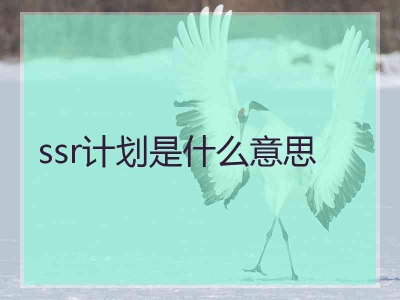 ssr计划是什么意思