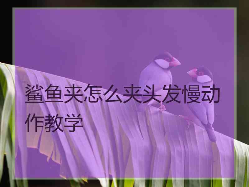 鲨鱼夹怎么夹头发慢动作教学