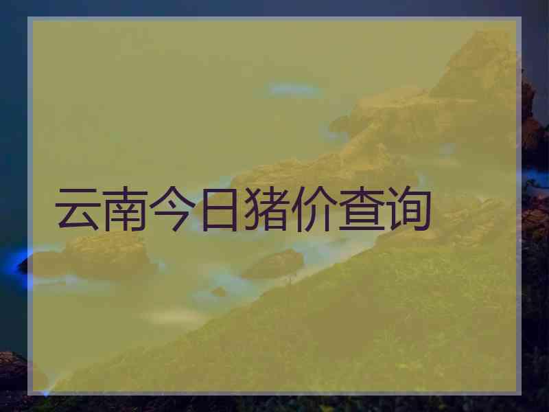 云南今日猪价查询