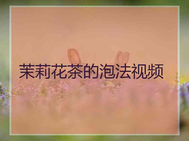 茉莉花茶的泡法视频