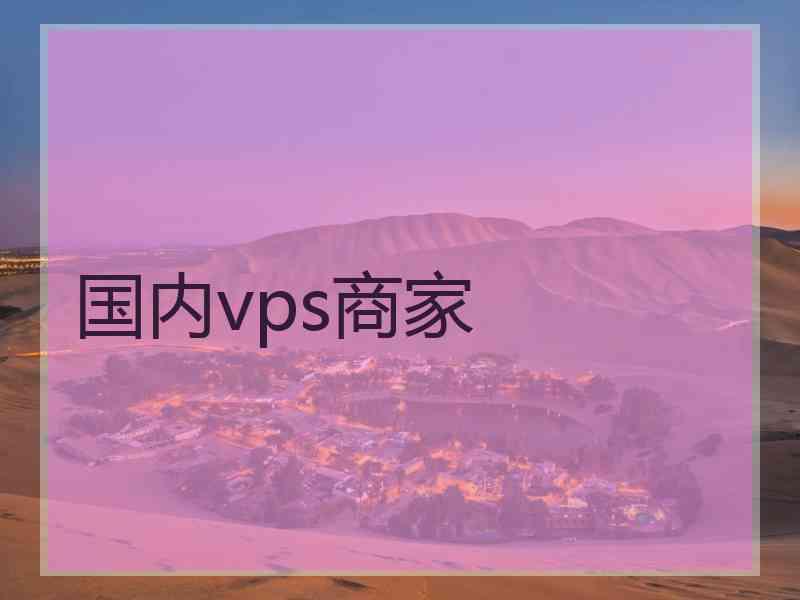 国内vps商家