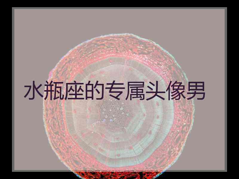 水瓶座的专属头像男