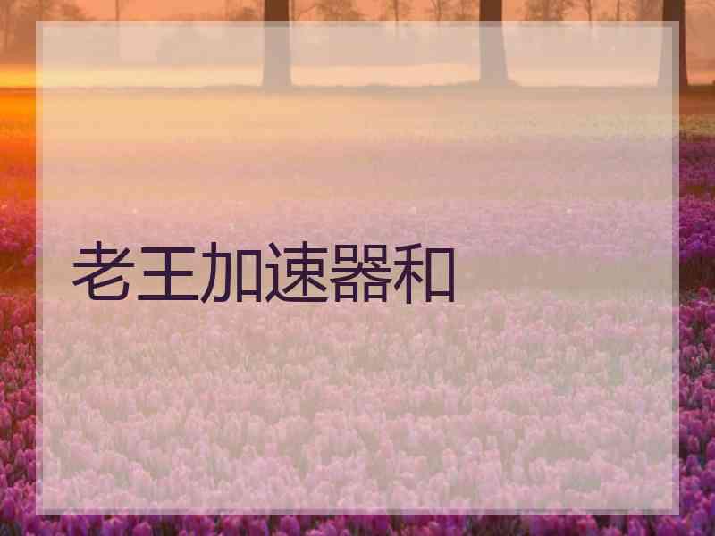 老王加速器和