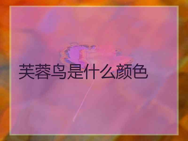 芙蓉鸟是什么颜色
