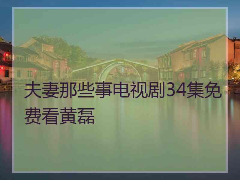 夫妻那些事电视剧34集免费看黄磊