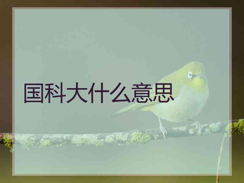 国科大什么意思